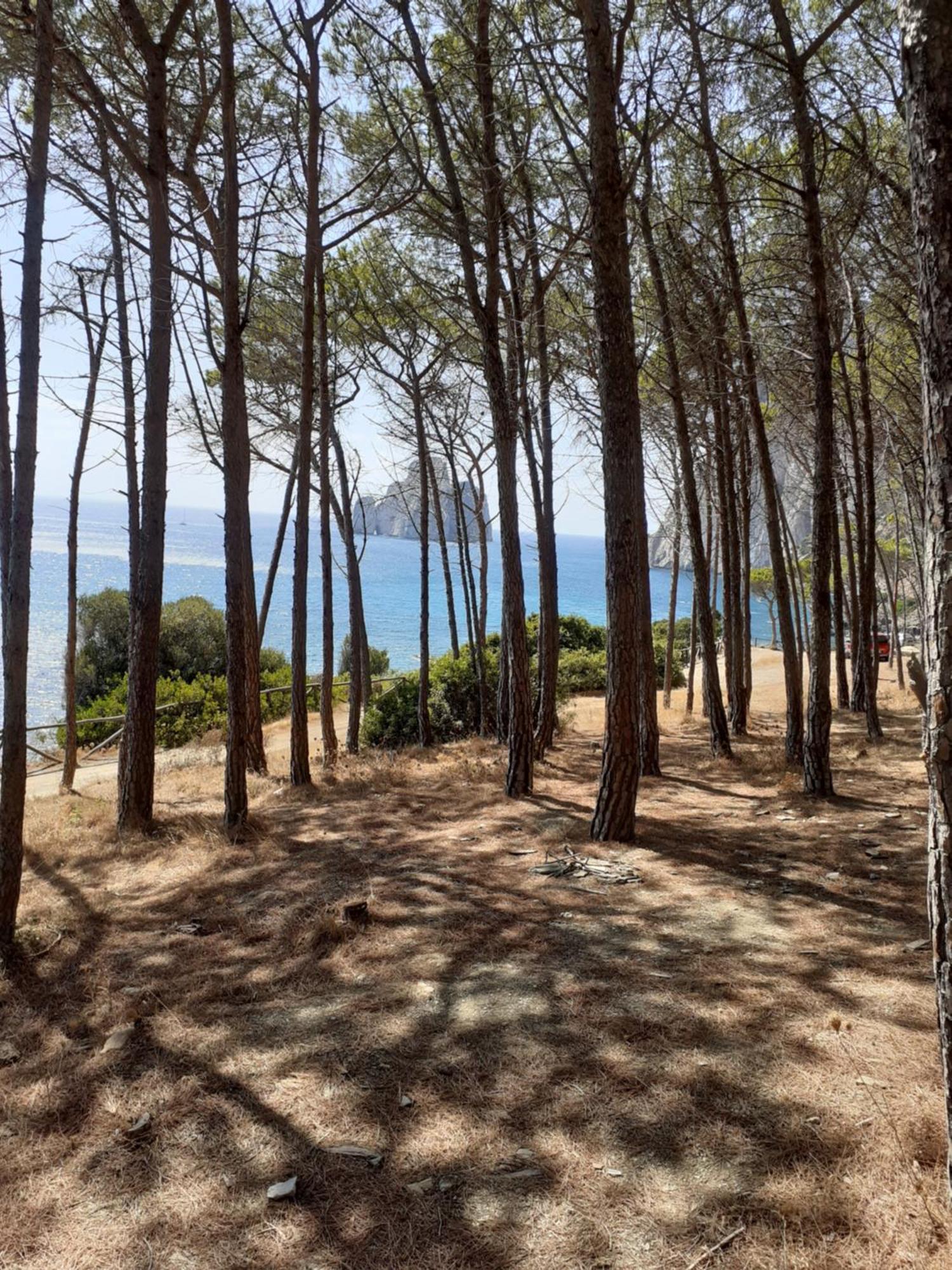 La Villa Tanca Piras Nebida Exteriér fotografie